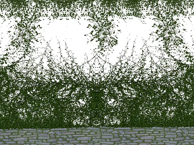 Dense Green Vines with Lush Foliage Covering Stone Paved Ground 3d model