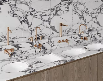 Light Luxury Faucet Brass Metal Faucet Ceramic Wash Basin 3d model