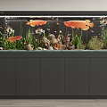 Vibrant Glass Aquarium with Colorful Fish Green Aquatic Plants and Natural Decorations