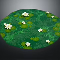 Frogs Resting On Green Lily Pads In Pond With White Lotus Flowers