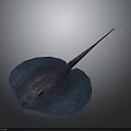 Blue Ray With Flat Body And Long Tail In Gray Background 3D Rendering