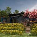Modern Vacation Home With Wooden Stairs And Pink Flowering Trees Amid Yellow Flowers