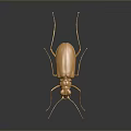Detailed Golden Beetle on Dark Smooth Surface with Shiny Reflection 3d model