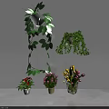 Bonsai Potted Plants With Hanging Vining Greenery Colorful Flowers And Various Pots On White Background