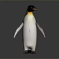 Standing Penguin with Black and White Body and Yellow Head Patch Against Gray Background
