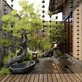 Japanese Style Garden Courtyard with Bonsai Pine Tree Stone Lantern Water Basin and Wooden Deck