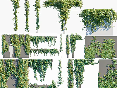 Climbing And Hanging Green Vines For Wall Decoration And Garden Design 3d model
