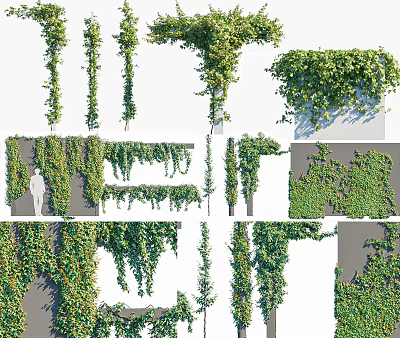 Climbing And Hanging Green Vines For Wall Decoration And Garden Design 3d model