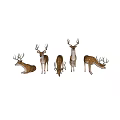 Golden and White Spotted Deer Figurines in Various Poses on Light Background