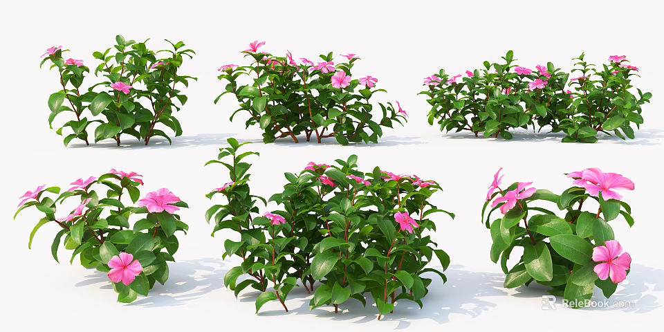 Vibrant Pink Flowers With Green Leaves In Bushy Garden Plants Arrangement 3d model 
