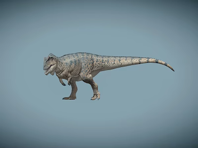 Realistic 3D Tyrannosaurus Rex Model Standing On Gray Background With Texture 3d model