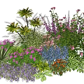 Diverse Garden Plant Combination Featuring Palm Leaves Purple Pink Blue Flowers And Green Shrubs
