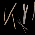Natural Raw Wood and Stone Pieces Including Forked Branches Sticks and Slender Strips
