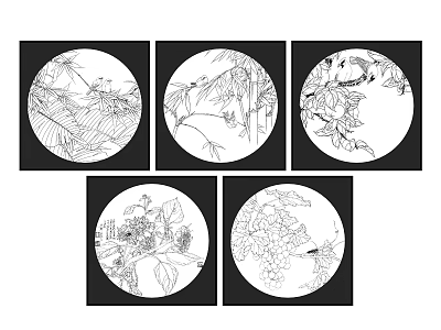 Set of Five Circular Botanical Paintings with Black and White Line Art and Plant Elements 3d model