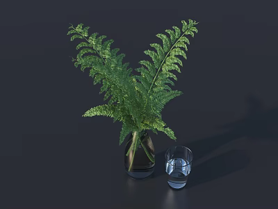 Green Fern Plant In Glass Vase With Water Glass On Dark Background 3d model