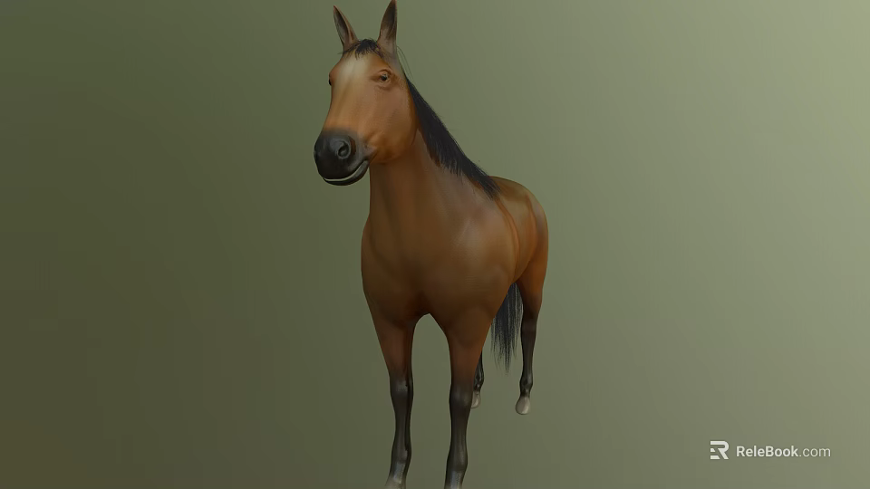 Brown Horse With Black Mane And Tail In Standing Pose On Green Background 3d model 