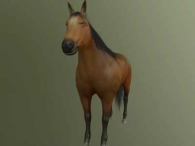 Brown Horse With Black Mane And Tail In Standing Pose On Green Background 3d model