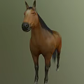 Brown Horse With Black Mane And Tail In Standing Pose On Green Background