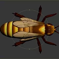 Detailed Illustration Of A Honey Bee With Transparent Wings And Striped Body
