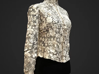 White High Neck Long Sleeve Lace Blouse With Floral Pattern And Elegant Design 3d model