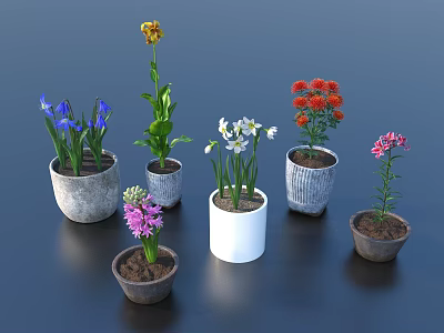 Colorful Potted Plants Arranged With Various Flower Colors And Different Pot Styles 3d model