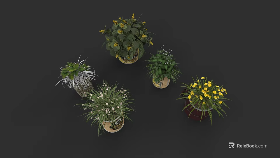 Vibrant Arbor Plants In Decorative Pots With Lush Green Leaves And Yellow Blossoms 3d model 