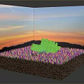 Green Tree Growing in Grass and Soil Layers Against Sunset Sky Background