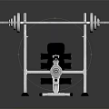 Home Gym Barbell Bench Press Sports Equipment with Stable Frame and Weight Plates