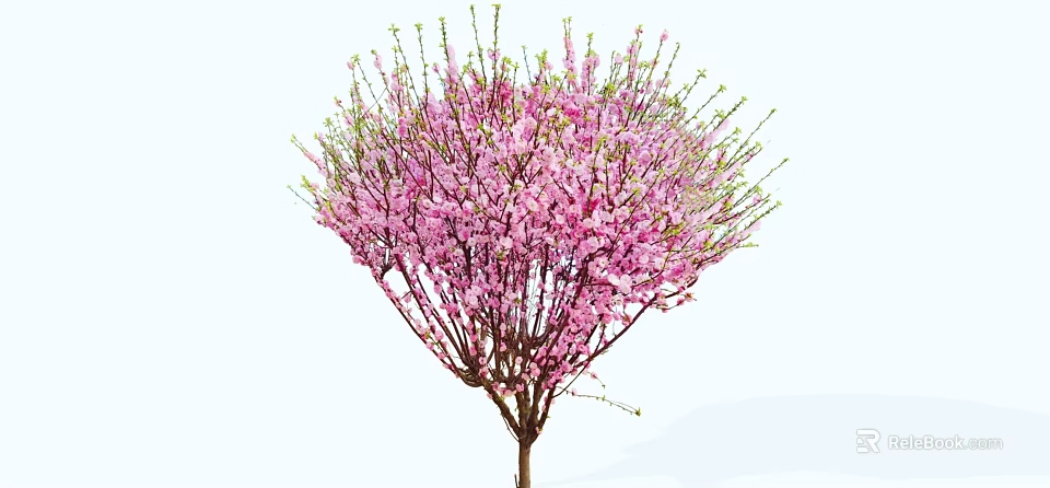 Stunning Flowering Arbor with Lush Pink Blossoms and Fresh Green Branches 3d model 