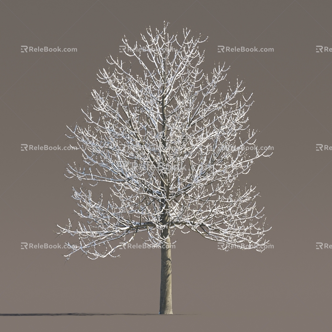 Winter Snow Trees Snow Trees Snow Trees Snow Plants Landscape Trees Snow Trees Snow Trees Winter Trees 3d model