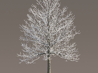 Winter Snow Trees Snow Trees Snow Trees Snow Plants Landscape Trees Snow Trees Snow Trees Winter Trees 3d model