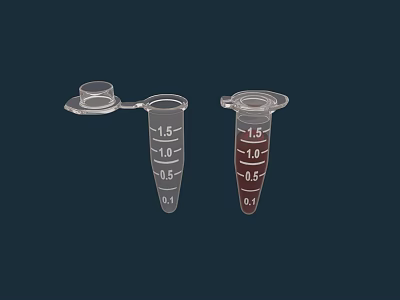 Two Transparent Laboratory Measuring Cups With Measurement Scales Red Liquid Conical Bottom And Lids 3d model