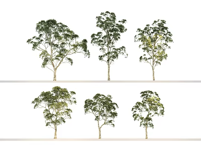 Multiple Arbor Trees With Different Foliage Shapes Arranged In Rows On White 3d model