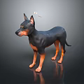 Black And Brown Doberman Figurine With Small Spider On Gray Background