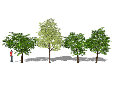 Modern Tree Landscape Trees Arbor model