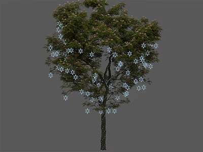 Arbor with Abundant Small White Flowers on Branches and Tall Trunk 3d model