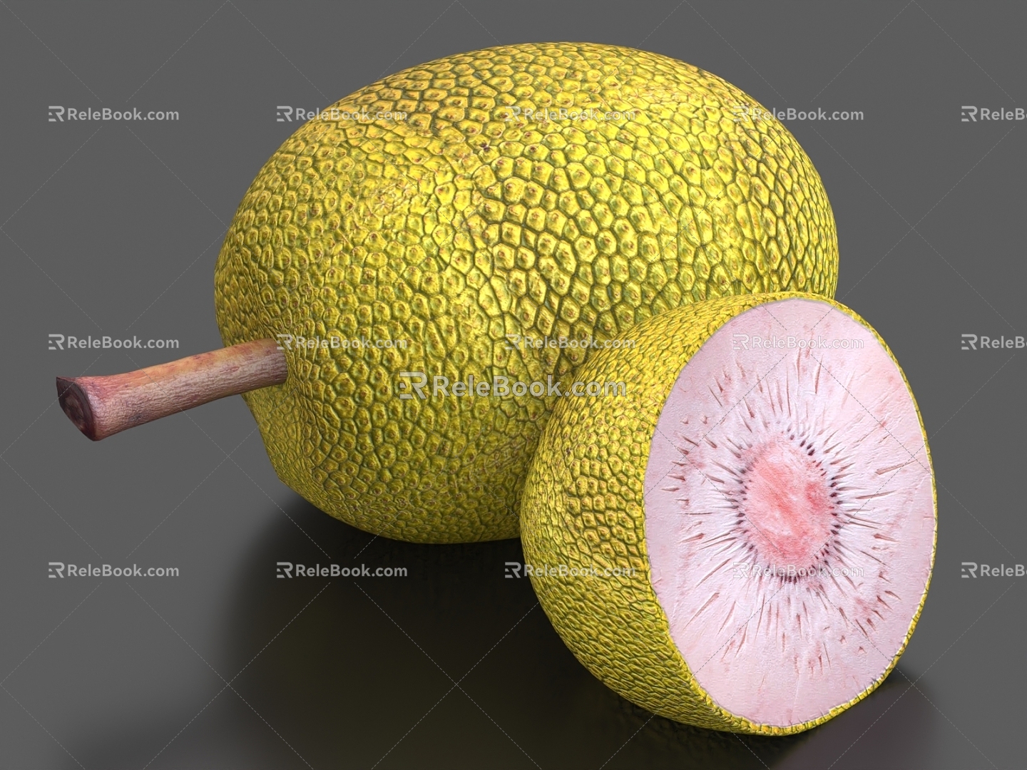 jackfruit breadfruit fruit 3d model