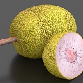 jackfruit breadfruit fruit 3d model