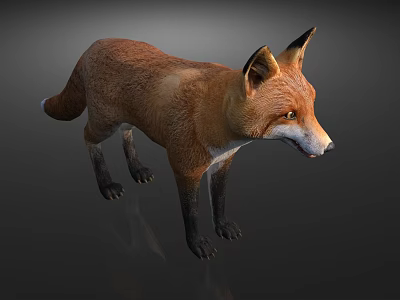 modern fox 3d model