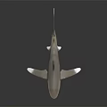 Gracefully Swimming Silver Shiny Shark Model On Black Background With Reflection 3d model
