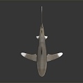 Modern shark great white shark whale shark hammerhead shark tiger shark 3d model