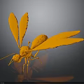 Orange Insect With Large Wings On Dark Reflective Background Surface