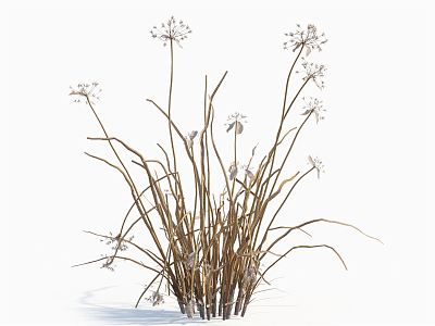 modern grass withered grass 3d model