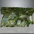 Natural Terrain with Green Moss Covered Rock Surface and Small Yellow Spots and Natural Indentations