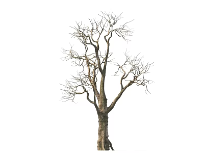 Dry Tree Trunk With Natural Wood Texture And Bare Branches On White Background 3d model