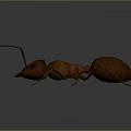 Realistic 3D Character Model Of Brown Ant With Detailed Insect Features