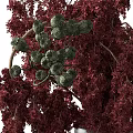 Decorative Hanging Ornament Set With Lush Red Foliage In Black Pot For Home Decor