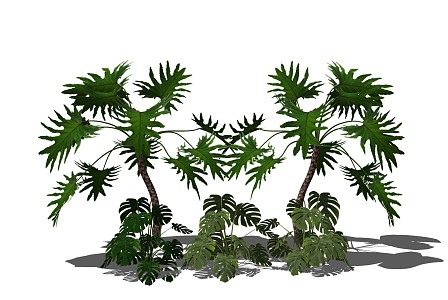 Spring rain Bamboo shrub cover with flowers and plants 3d model