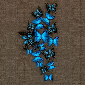 Modern Butterfly Craft 3d model