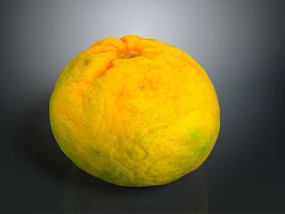 Fresh Round Yellow Greenish Textured Orange Fruit On Dark Background 3d model